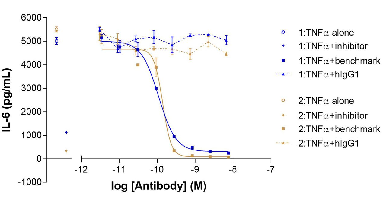 1268-IL-6-RA-syn-fibs-2
