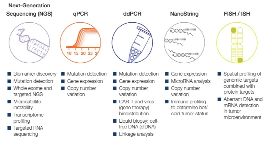 Analyse génomique signification (1)