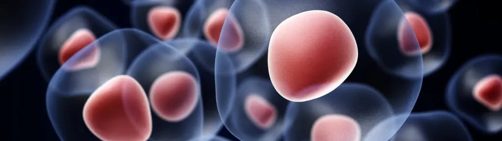 Analyse génomique Signification