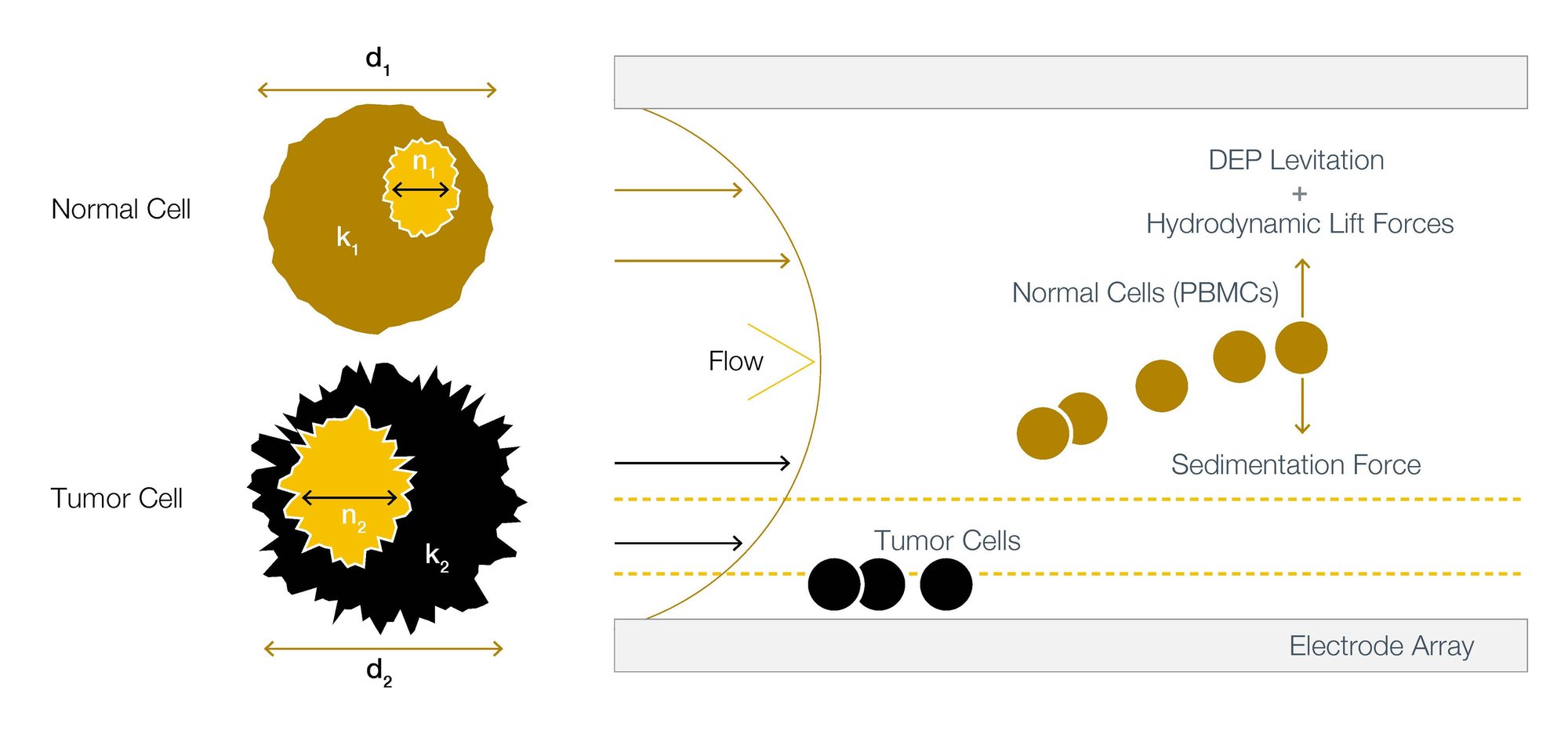 ApoStream explanation