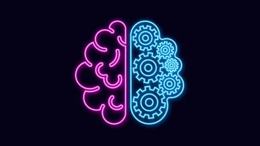 Centralized vs Decentralized Raters