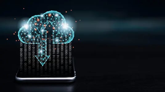 Best Practices for Database Transfer in a Rescue Study