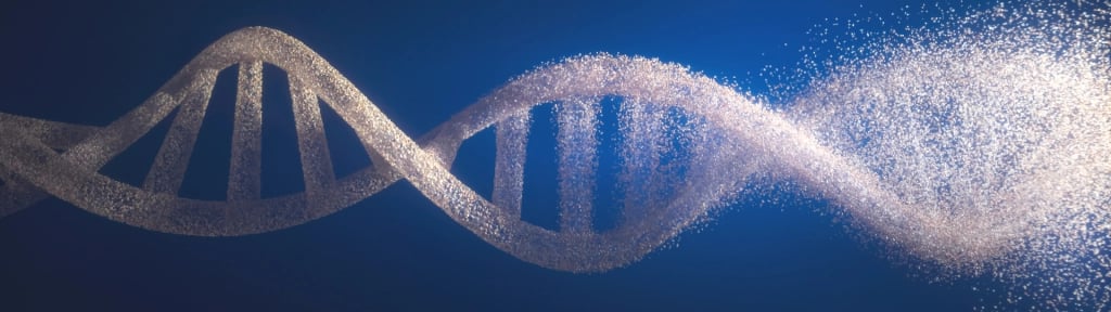 dna-double-helix-1024x288