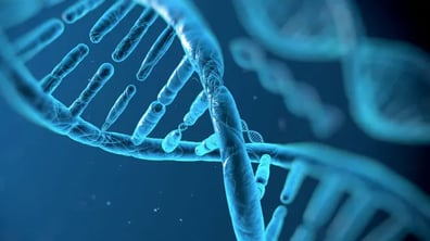 Monitoring Immune Responses in Gene Therapy Clinical Trials Using ELISpot