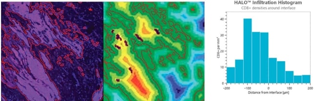 infiltration-analysis-651x208