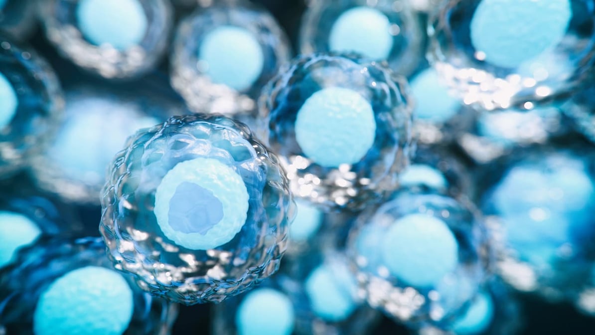 iStock-1279507600 (2)