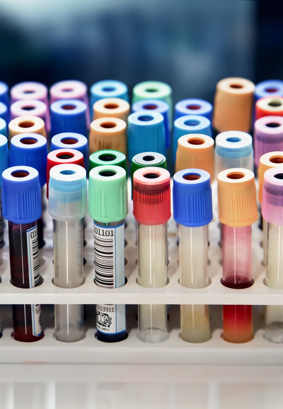 iStock-1446655782 (1)-1