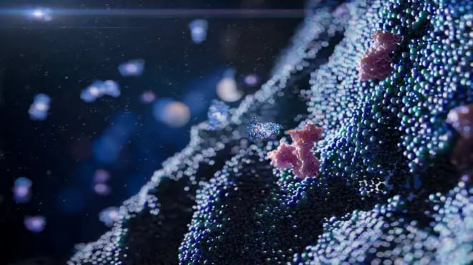 Occupancy Receptor Flow