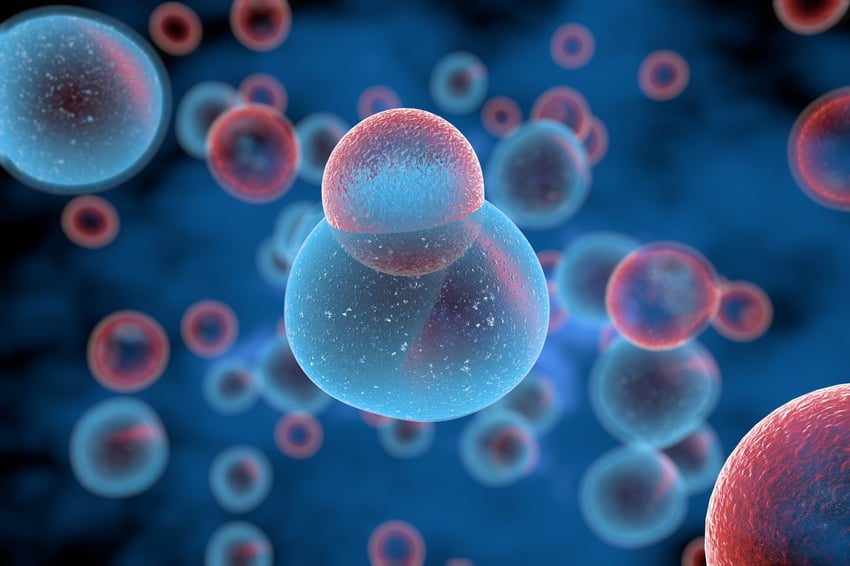 PFM - PBMC & Sample Processing