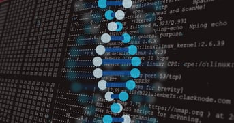 statistical programming