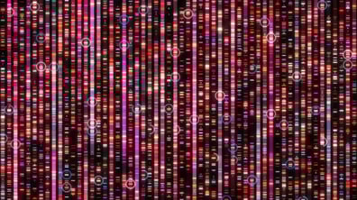 4 Success Strategies for Biomarker-Driven Clinical Trials