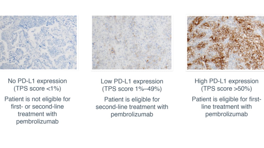 Untitled-design-1024x576