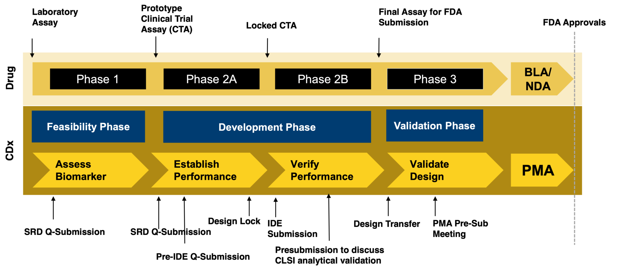 CDx-blog-2-image-3-2048x878