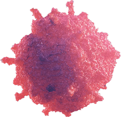 custom-biospecimen-collections