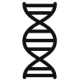dna