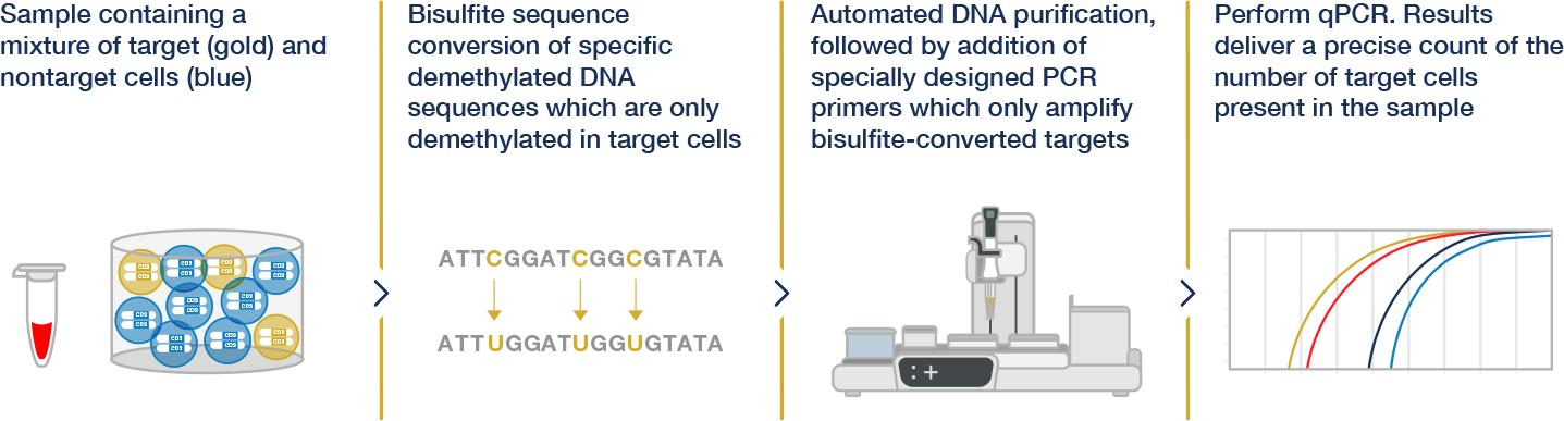 epiontis id process