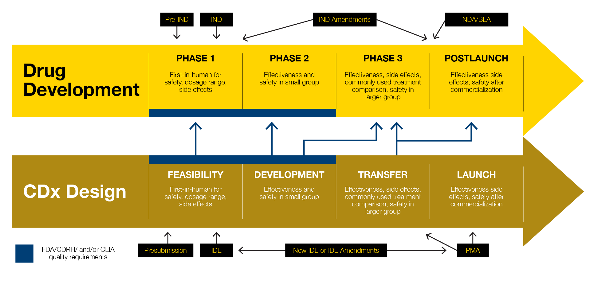 La précision au service de la médecine Diagramme CDx