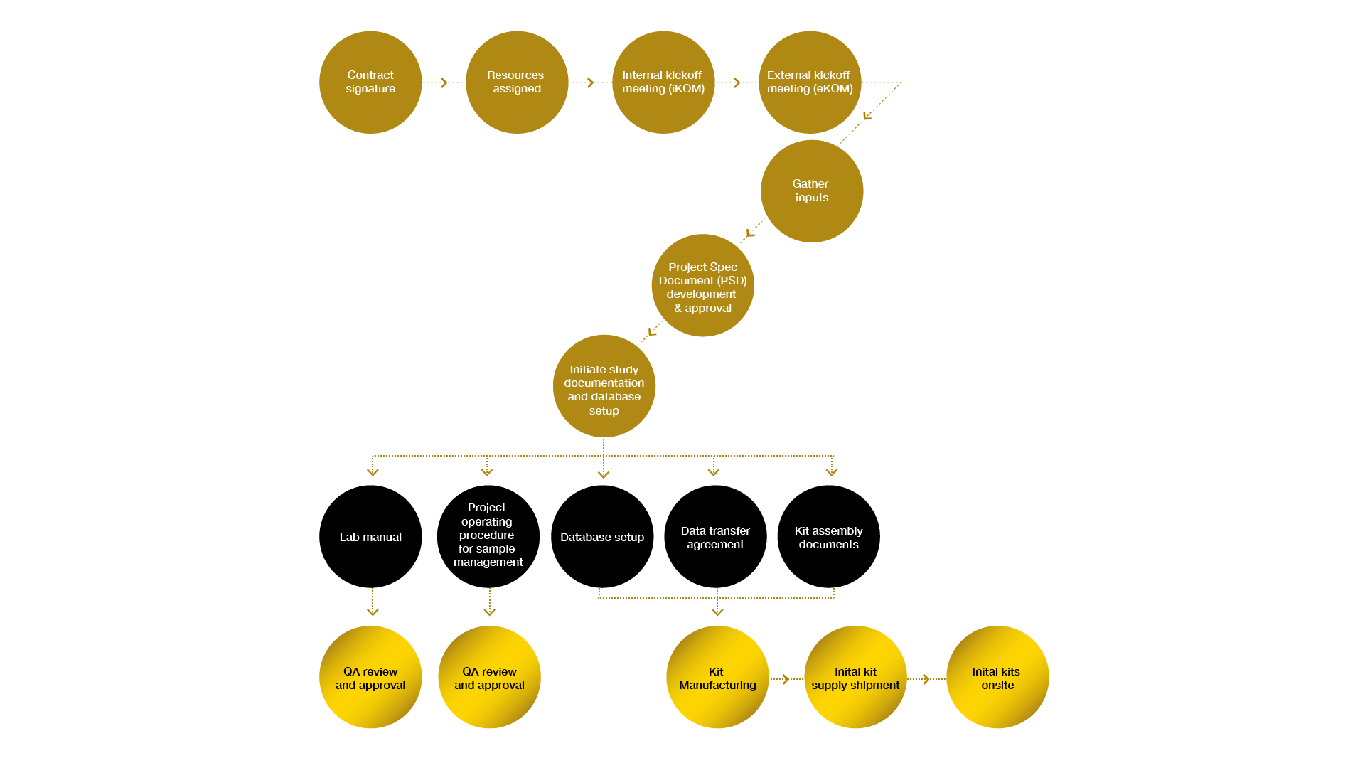 study startup diagram